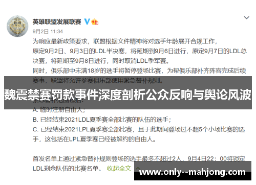 魏震禁赛罚款事件深度剖析公众反响与舆论风波
