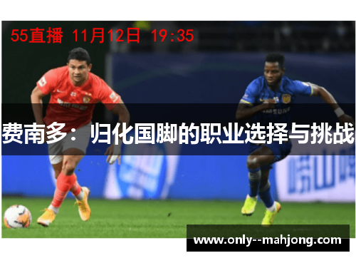 费南多：归化国脚的职业选择与挑战