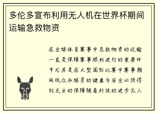 多伦多宣布利用无人机在世界杯期间运输急救物资