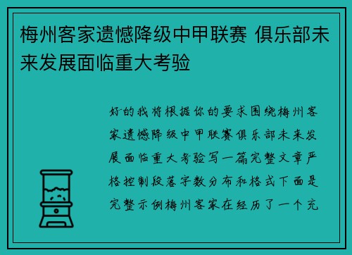 梅州客家遗憾降级中甲联赛 俱乐部未来发展面临重大考验