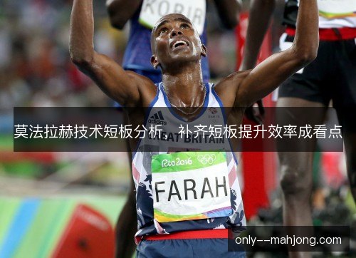 莫法拉赫技术短板分析，补齐短板提升效率成看点